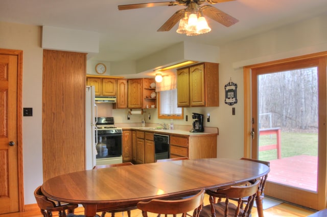 kitchen featuring white appliances, sink, ceiling fan, and light hardwood / wood-style flooring