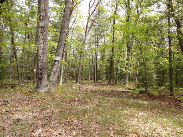 LOT10 Club Rd, Saint Helen MI, 48656 land for sale