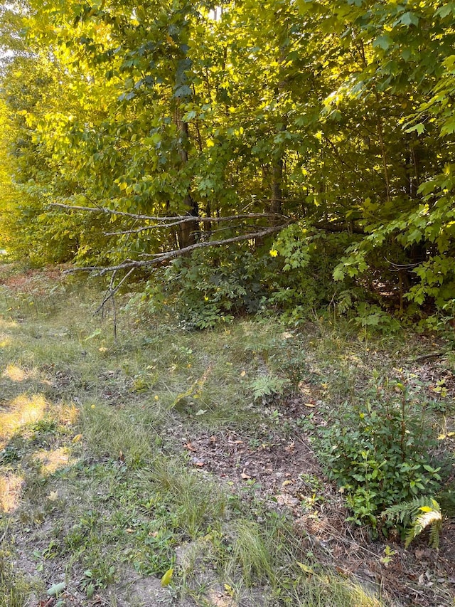 Deerfield Dr Lot 2, Grayling MI, 49738 land for sale