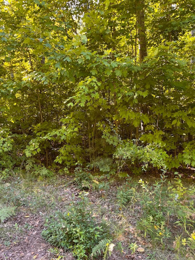 Listing photo 3 for Deerfield Dr Lot 2, Grayling MI 49738