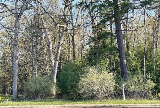 Listing photo 3 for W Houghton Lake Dr Lot 6, Prudenville MI 48651