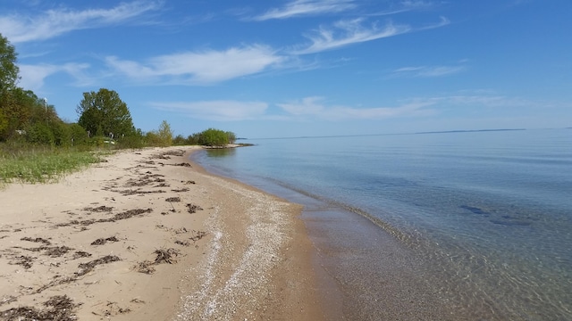 W Wildwood Ln Unit 4.86Acres, Brevort MI, 49760 land for sale