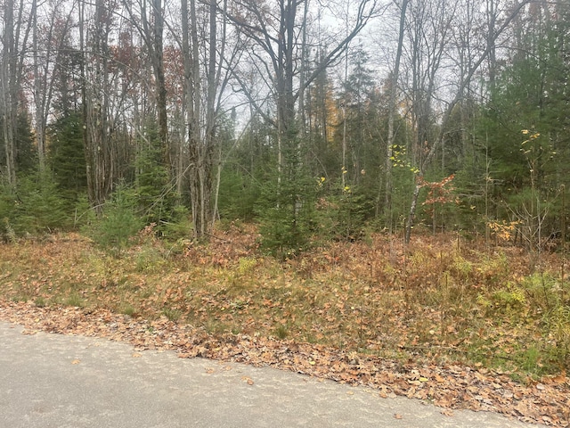 E Shadow Lake Rd, Prudenville MI, 48651 land for sale