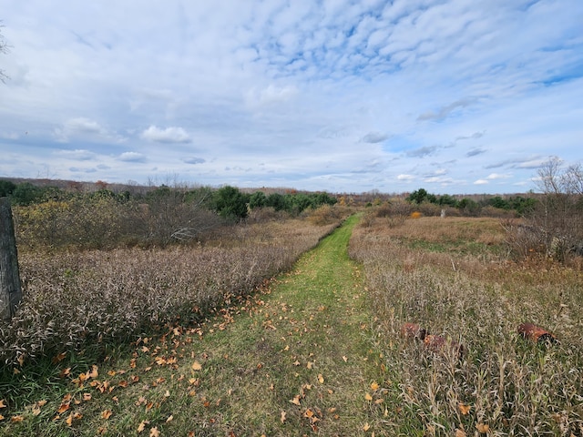 view of road with a rural view