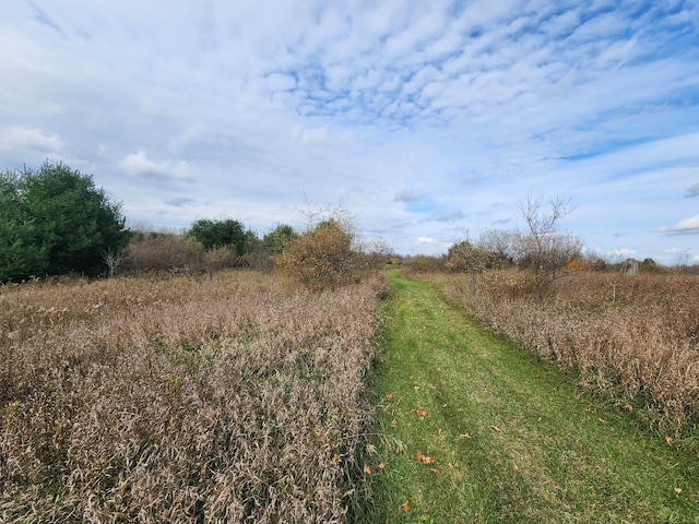 view of nature featuring a rural view