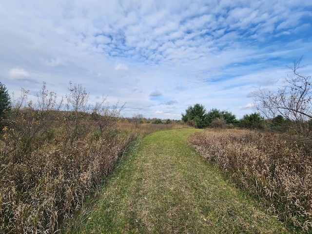 view of yard featuring a rural view