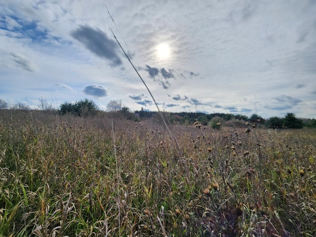 view of landscape featuring a rural view