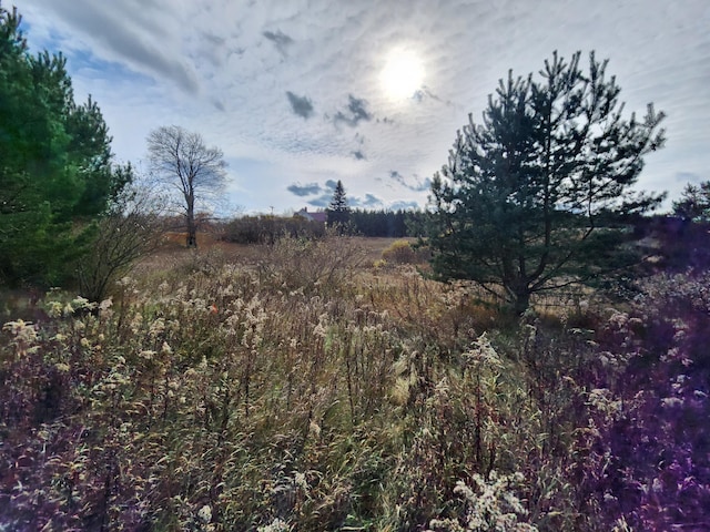 view of landscape