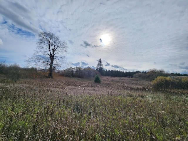 view of nature with a rural view