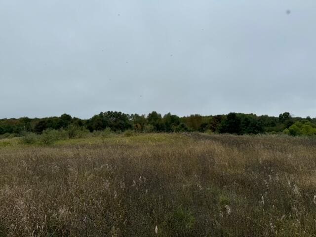 view of landscape featuring a rural view