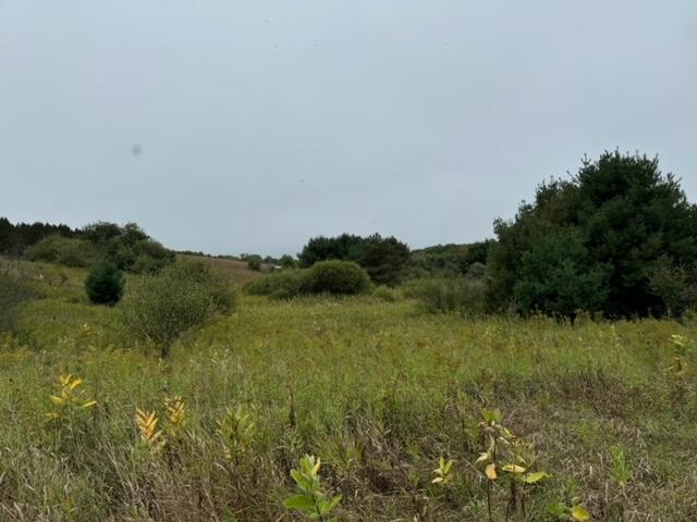 view of nature featuring a rural view