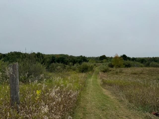 view of landscape featuring a rural view