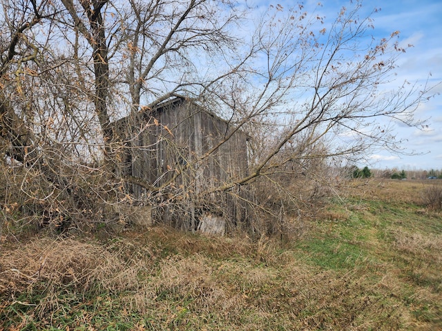 view of local wilderness