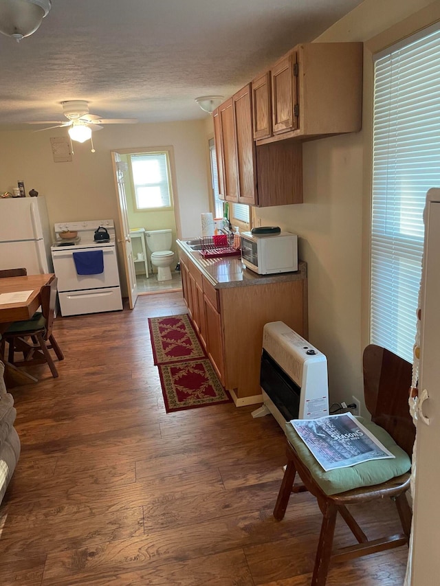 kitchen with ceiling fan, white appliances, dark hardwood / wood-style floors, and sink