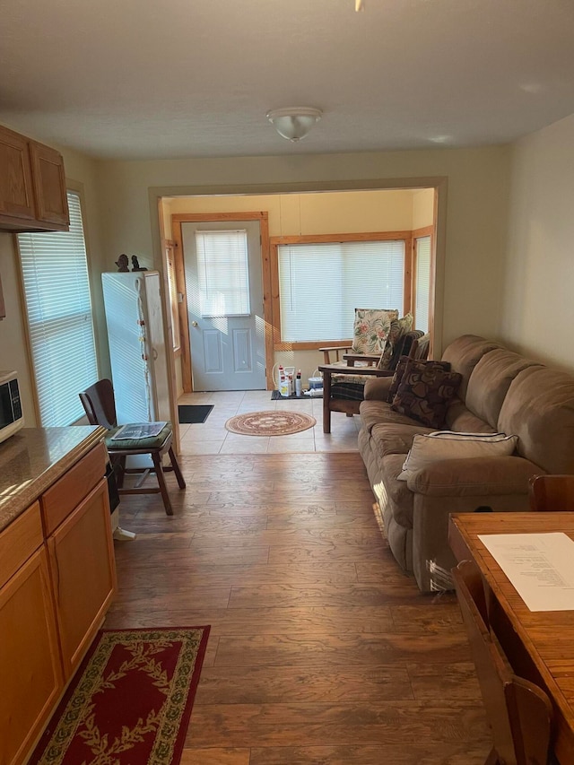 living room featuring dark hardwood / wood-style flooring