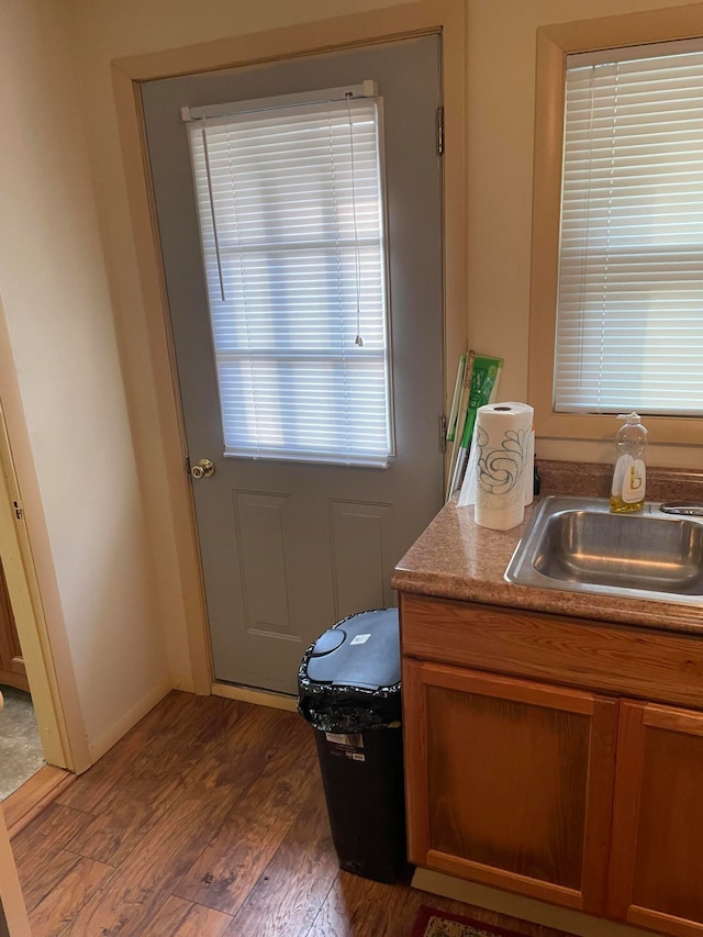 doorway featuring dark wood-type flooring and sink