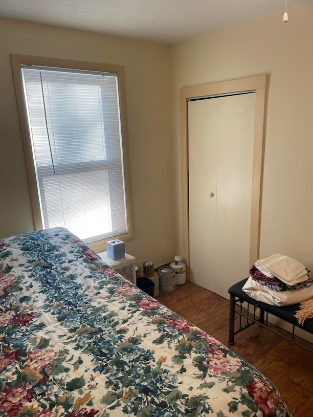 bedroom featuring dark hardwood / wood-style flooring and a closet