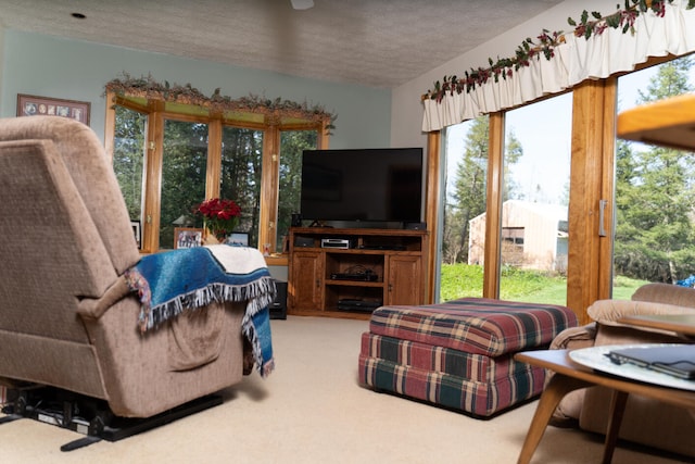 living room featuring a textured ceiling, a wealth of natural light, and light colored carpet