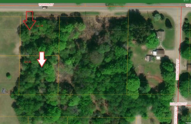 LOT25 Main St Lot # 29, Wolverine MI, 49799 land for sale