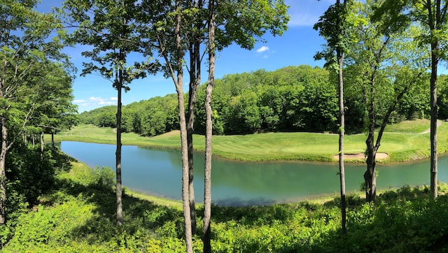 view of water feature