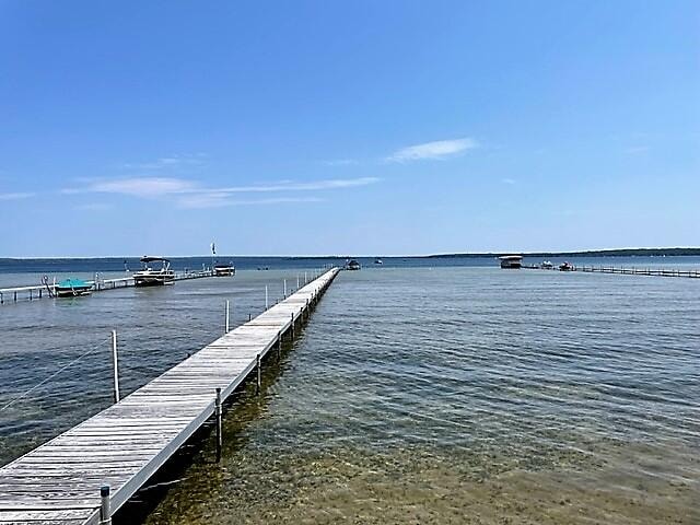 dock area with a water view