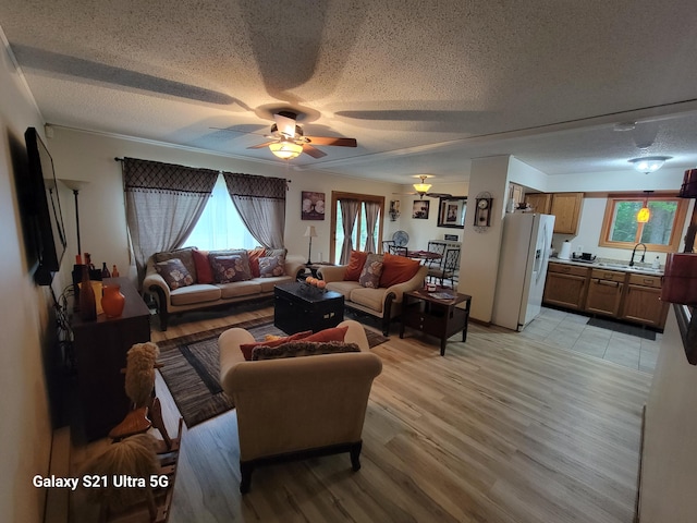 living room featuring a textured ceiling, ceiling fan, sink, and light hardwood / wood-style flooring