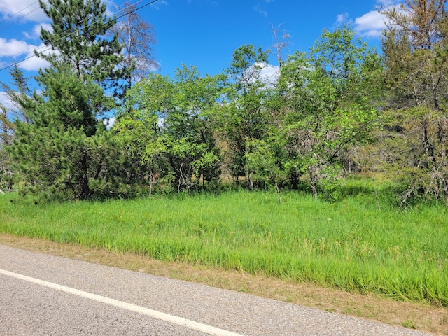 Lovells Rd, Grayling MI, 49738 land for sale