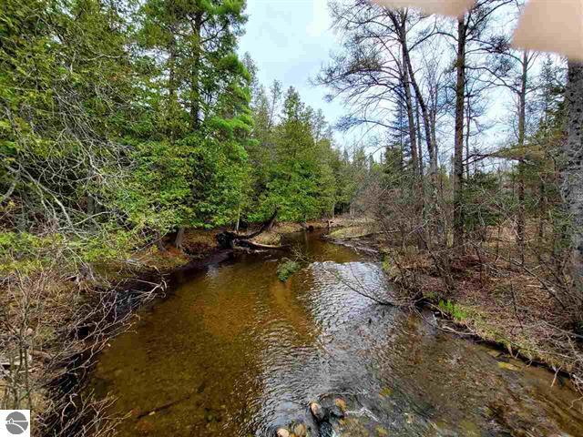 Listing photo 2 for Lovells Rd, Grayling MI 49738