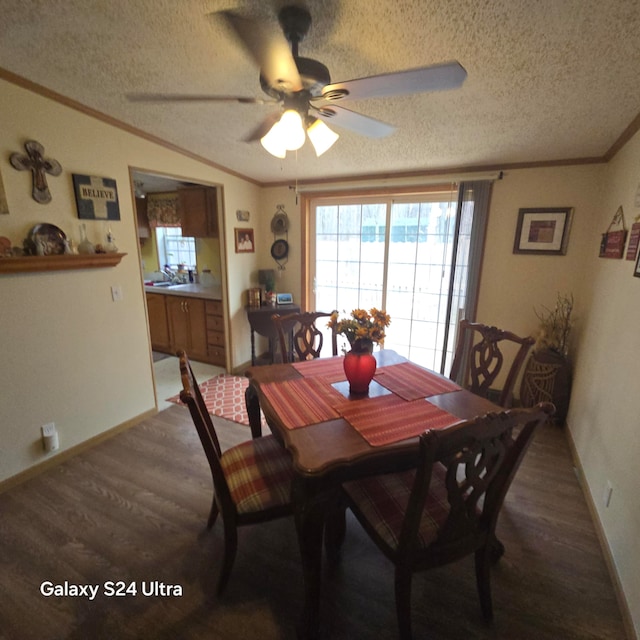 dining room with dark hardwood / wood-style flooring, ceiling fan, a textured ceiling, and ornamental molding