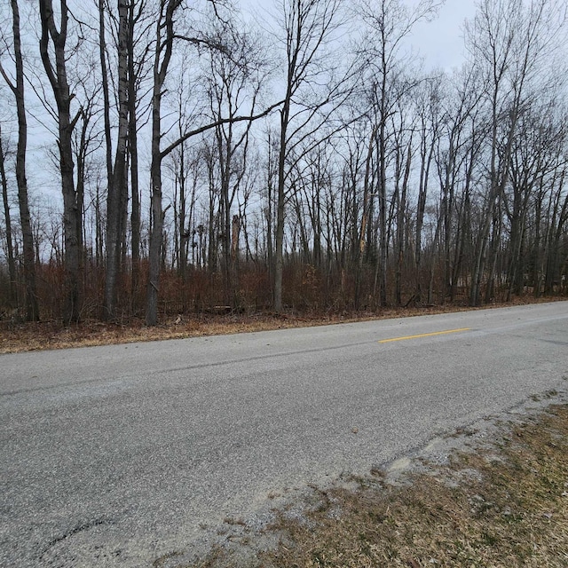 Listing photo 3 for Poor Farm Road Lots 11 & 12, Greenbush MI 48738