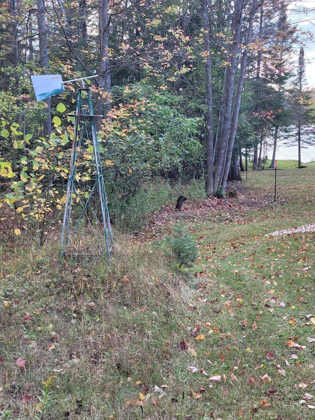 15472 Lakeview Drive Lot 214 & 215, Wolverine MI, 49799 land for sale