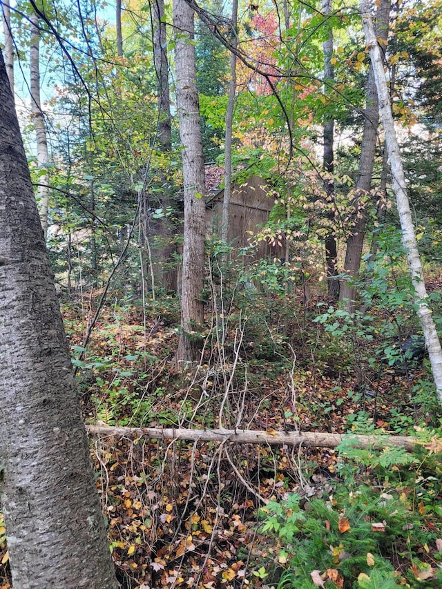 Listing photo 3 for 15472 Lakeview Drive Lot 214 & 215, Wolverine MI 49799