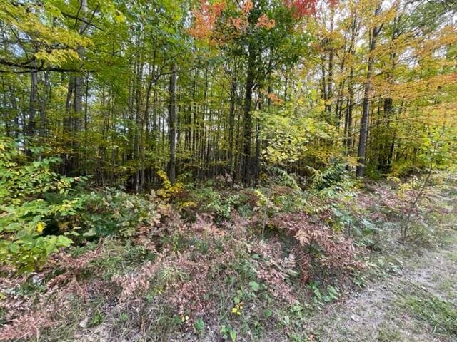 LOT10 Fairway Dr, Roscommon MI, 48653 land for sale