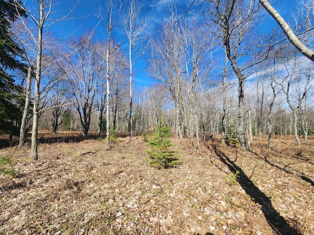 Listing photo 3 for LOT1829 Sandpiper Trl, Gaylord MI 49735