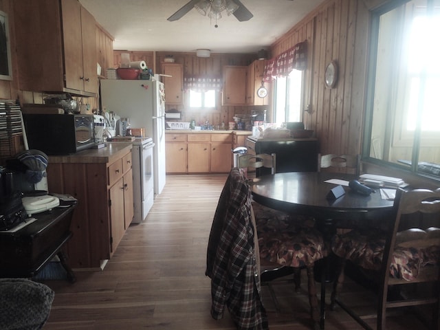 kitchen with wooden walls, white electric range, ceiling fan, hardwood / wood-style floors, and sink