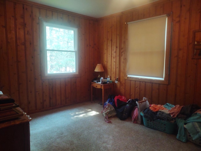 misc room featuring wood walls and carpet