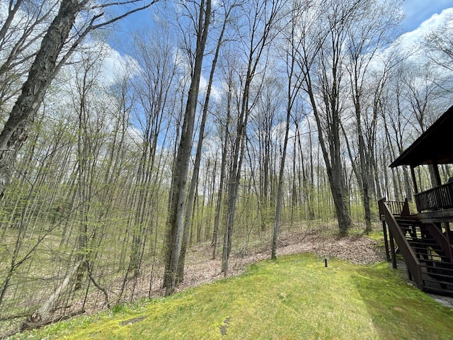 view of yard featuring a wooden deck