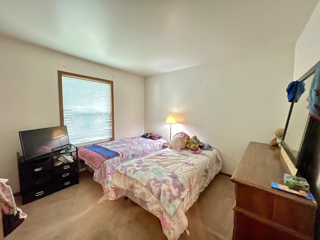 bedroom with carpet floors