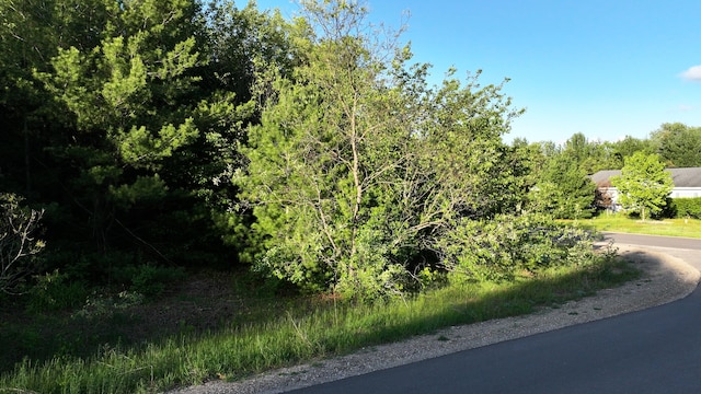 Listing photo 3 for Lot116 Altorf Strasse, Gaylord MI 49735