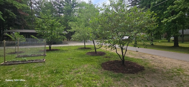 view of property's community featuring a yard