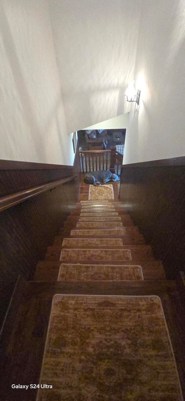 stairs with hardwood / wood-style flooring