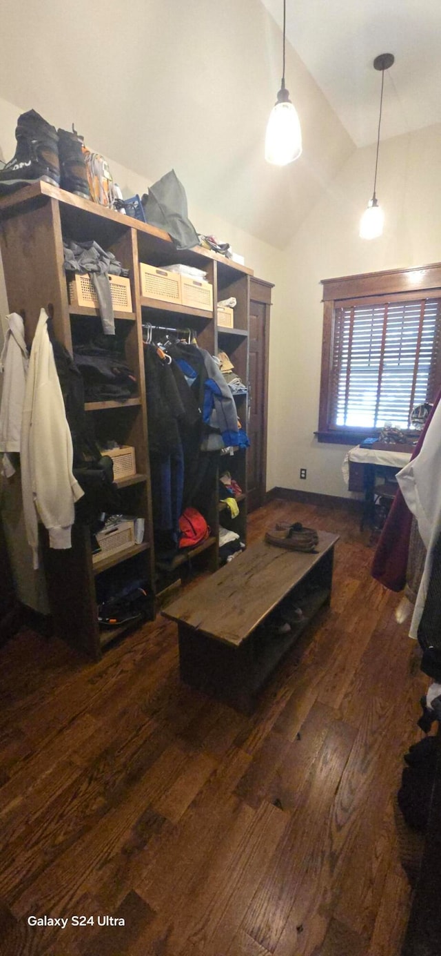 interior space featuring lofted ceiling and dark hardwood / wood-style floors