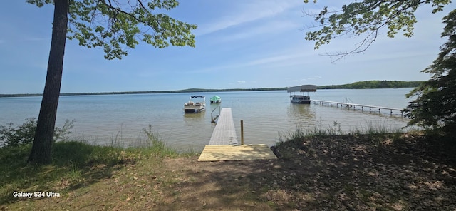 dock area with a water view