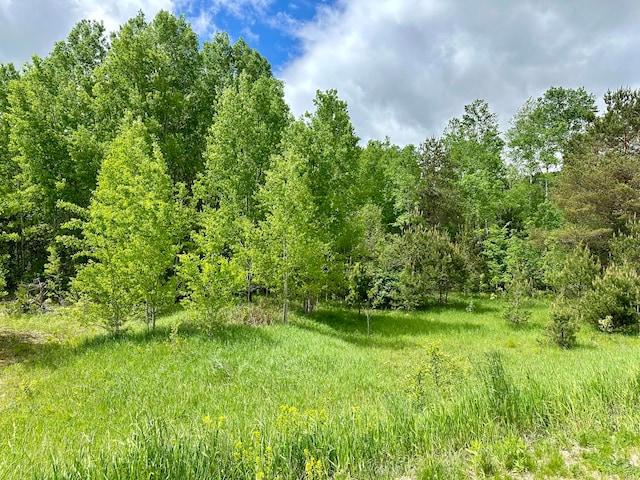 LOT63 Golfview, Gaylord MI, 49735 land for sale