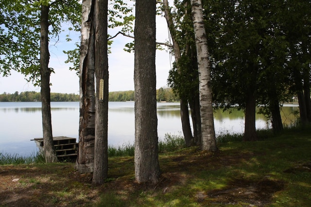 property view of water