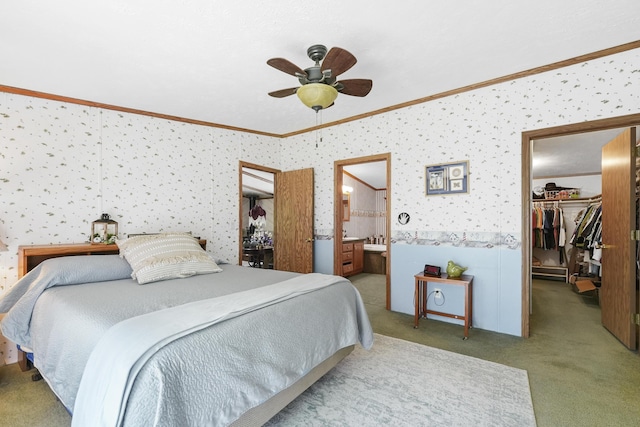 carpeted bedroom featuring a walk in closet, ornamental molding, ceiling fan, connected bathroom, and a closet