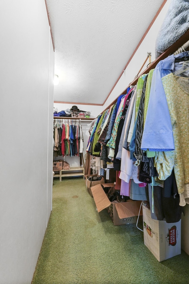 spacious closet featuring carpet flooring