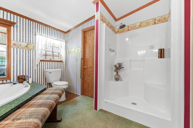 bathroom with a shower, ornamental molding, lofted ceiling, and toilet