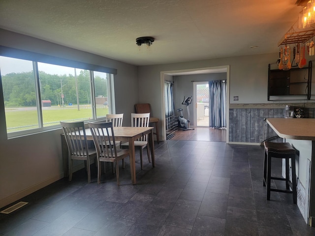 dining space featuring a healthy amount of sunlight