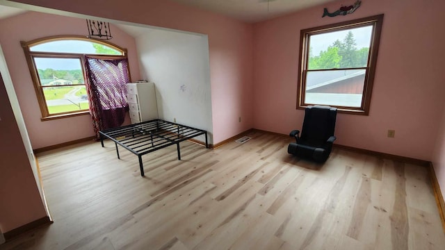 empty room featuring plenty of natural light and light wood-type flooring